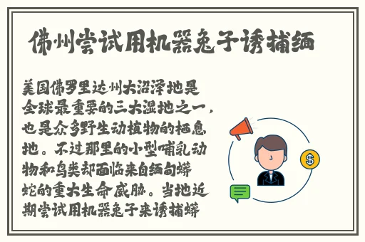 13一14zozo印度